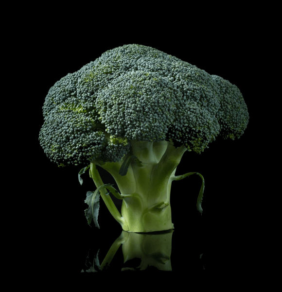 Photo de brocolis sur fond noir. La nutrition est l'élément fondamental de toute construction musculaire.