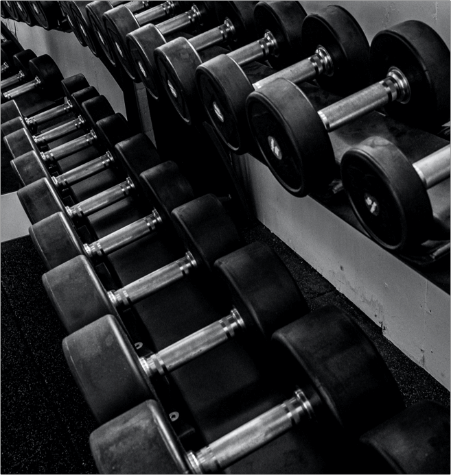Photo d'haltères de différents poids à disposition de nos adhérents à notre salle de sport 3X15 à paris.